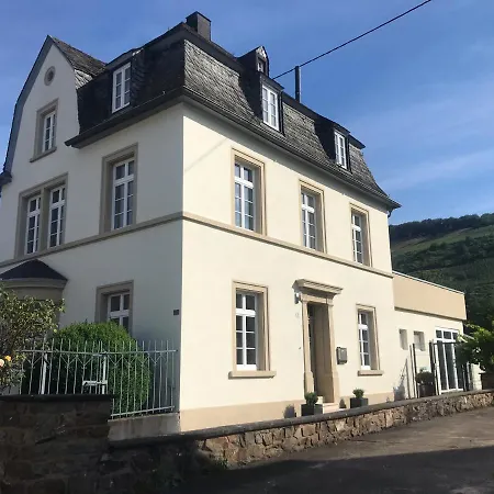 Weinlofts An Der Mosel Mit E10 Ladestation Apartment Kowerich Exterior photo