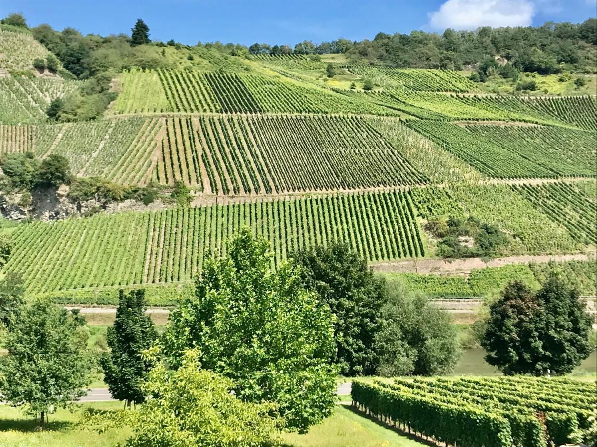 Weinlofts An Der Mosel Mit E10 Ladestation *