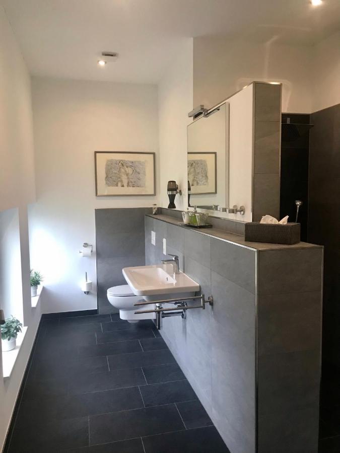 Weinlofts An Der Mosel Mit E10 Ladestation Apartment Kowerich