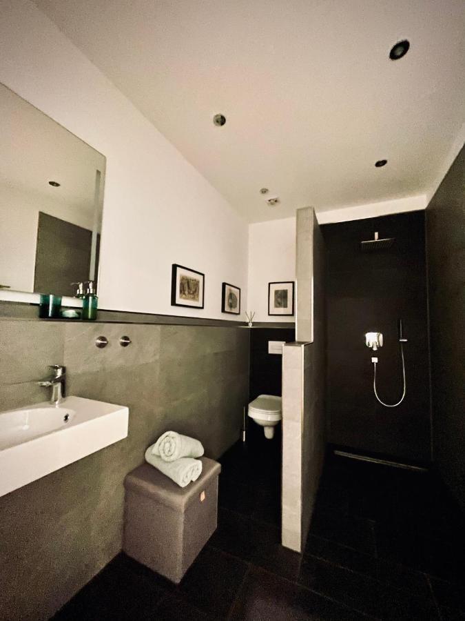 Weinlofts An Der Mosel Mit E10 Ladestation Apartment *