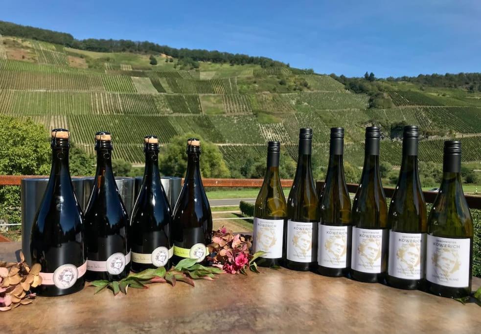 Apartment Weinlofts An Der Mosel Mit E10 Ladestation *